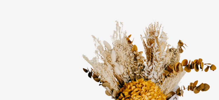 floravelle_trandafiri_criogenati_flori_criogenate_buchete_criogenate_categorie_front_page